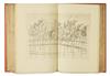 (NONESUCH PRESS.) Dante Alighieri. La Divina Commedia or, The Divine Vision of Dante Alighieri in Italian and English.